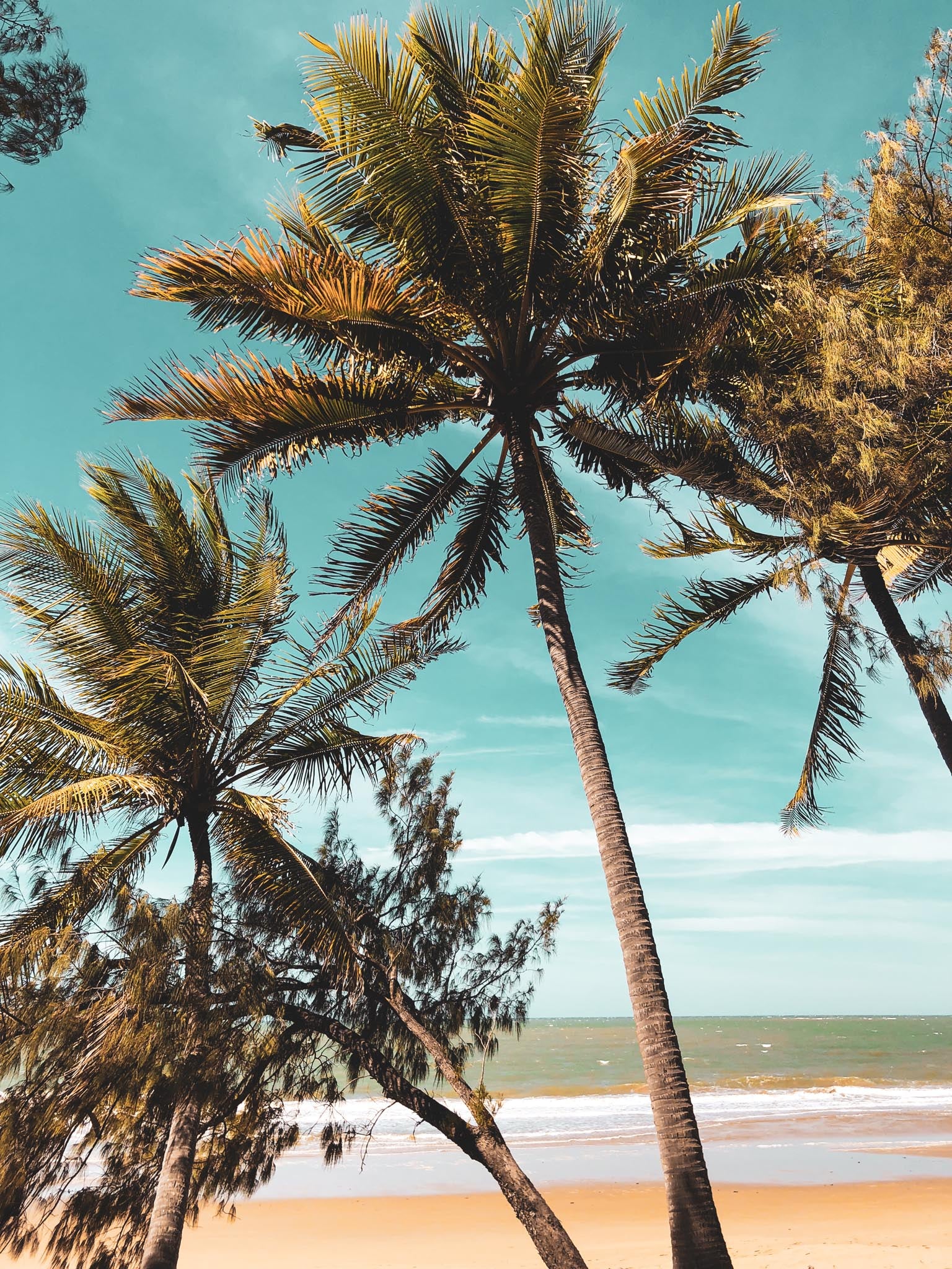 Ein Palmenstrand in Australien, der das unbeschwerte Sommerfeeling einfängt – diese Leichtigkeit möchten wir dir mitgeben.