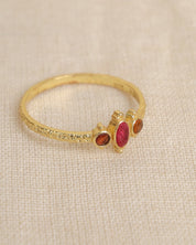 Vergoldeter Ring mit Rubin – Ausdruck von Eleganz & Kraft